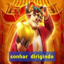 sonhar dirigindo carro jogo do bicho